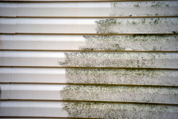  La Vista, NE Siding Installation Pros